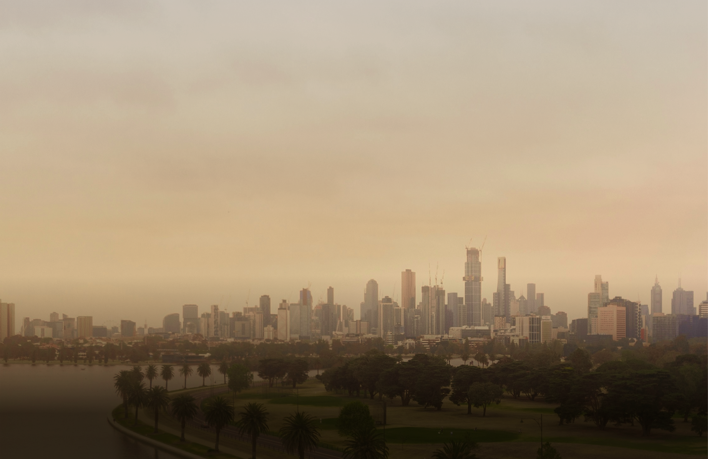 home-banner